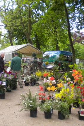 Fête des plantes
