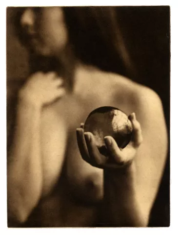 Exposition Nicéphore