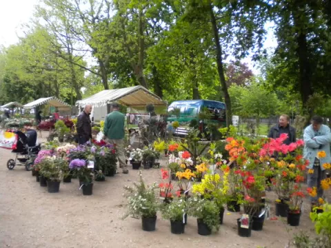 Fête des plantes